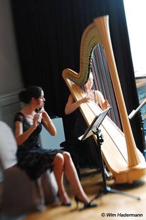 Harp duo